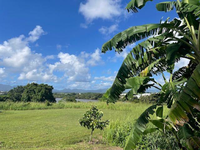 Vente Terrain 910 m2 Baie mahault