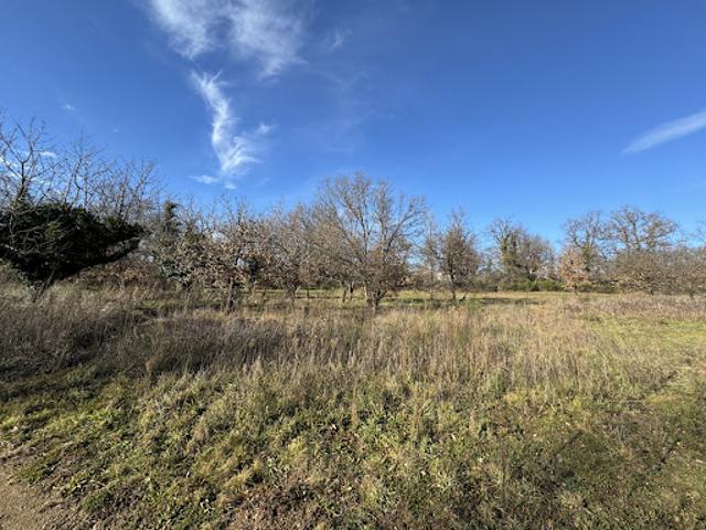 Vente Terrain 912 m2 Roiffieux
