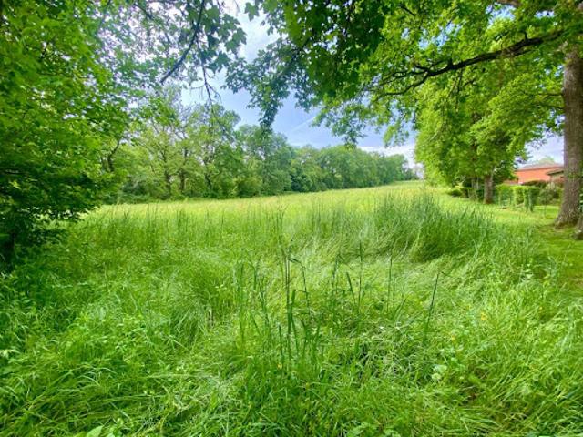 Vente Terrain 9155 m2 Rieumes