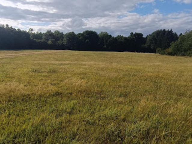 Vente Terrain 9159 m2 Luxeuil les Bains