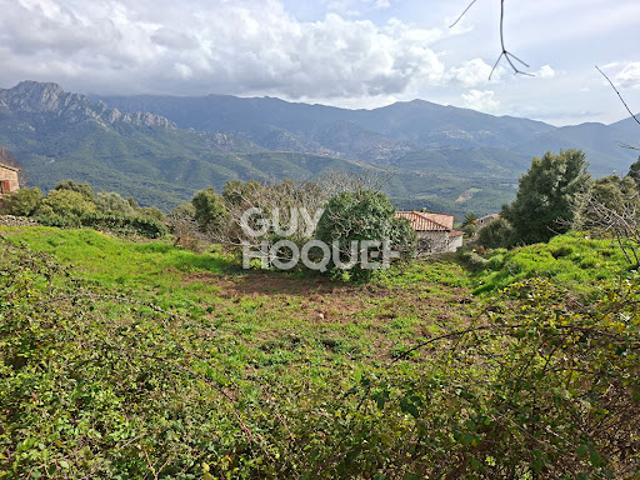 Vente Terrain 915 m2 Tavaco