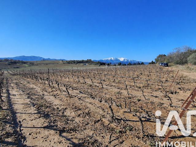 Vente Terrain 9187 m2 Bages