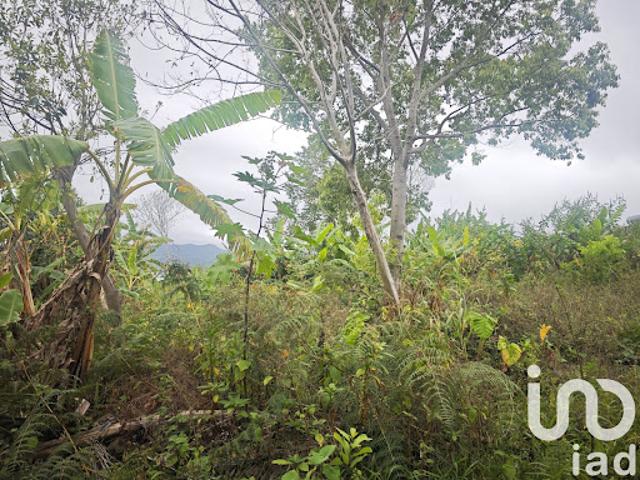 Vente Terrain 919 m2 Le tampon