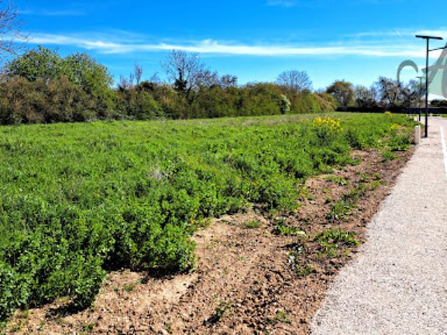 Vente Terrain 919 m2 Malay le Petit