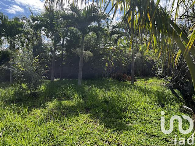 Vente Terrain 923 m2 Petite ile