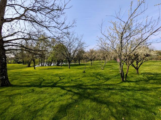 Vente Terrain 9232 m2 Maulévrier