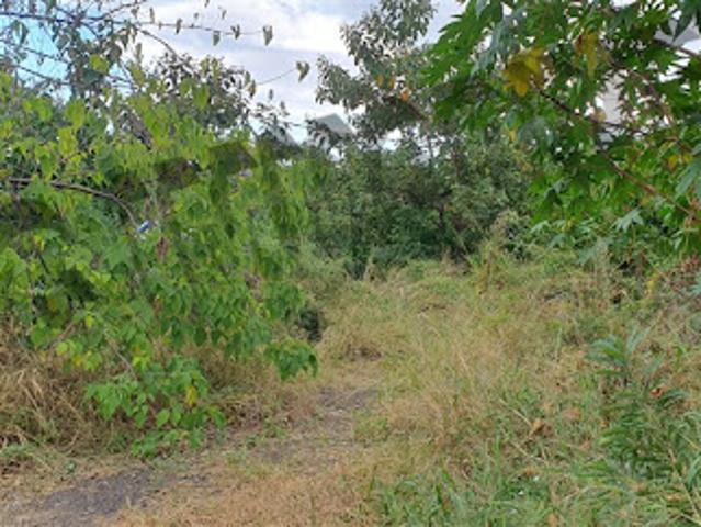 Vente Terrain 927 m2 Le Piton Saint Leu