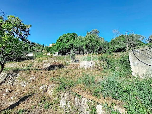 Vente Terrain 932 m2 Vallauris