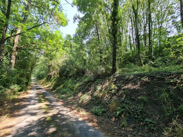 Vente Terrain 9330 m2 Roquecourbe