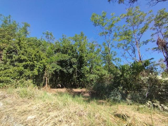 Vente Terrain 937 m2 Bourg Saint Andéol