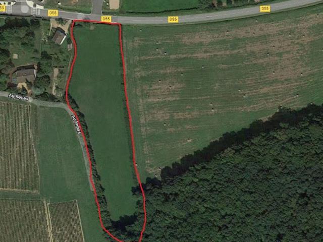 Vente Terrain 9344 m2 Lugny