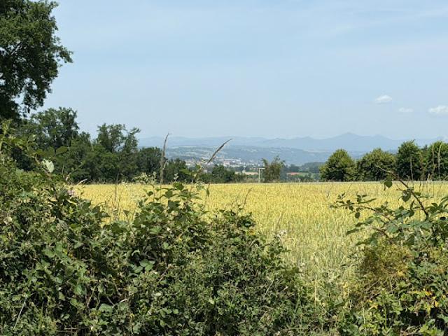 Vente Terrain 938 m2 Roannes Saint Mary