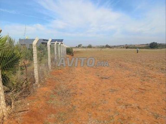 Vente terrains titrés & villas à Sidi Rahal