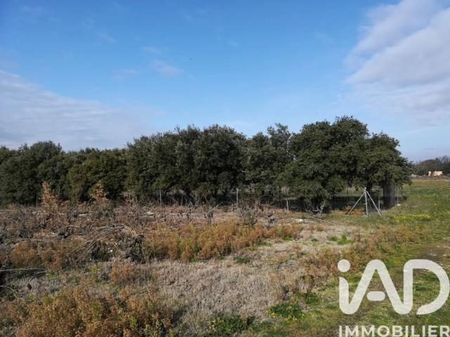 Vente Truffière 1 368 m²