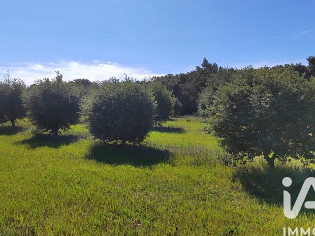 Vente Truffière 4 400 m²