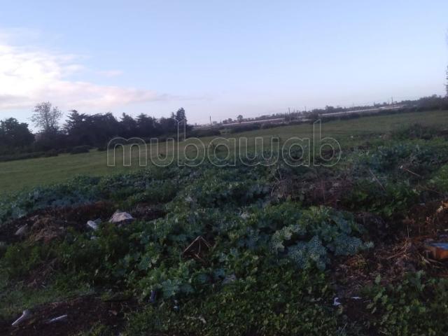 Vente un terrain de 1 hectare à souissi