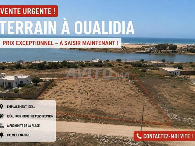 Vente urgente terrain à moitié prix à El Oualidia