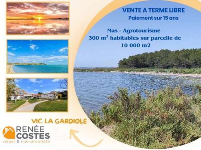 Vente Viager 15 pièces 300 m2 Vic la Gardiole