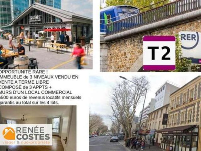 Vente Viager 368 m2 Issy les Moulineaux