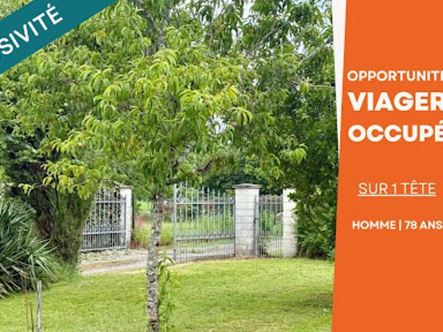 Vente Viager 7 pièces 219 m2 Neuvicq