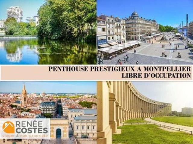 Vente Viager 6 pièces 305 m2 Montpellier
