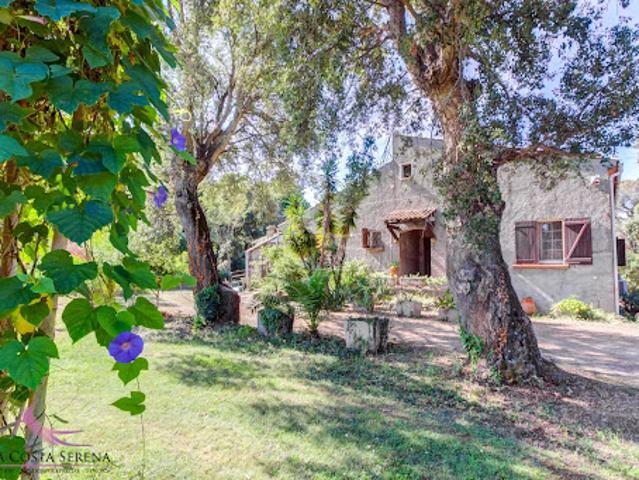Vente Viager 8 pièces 232.78 m2 Linguizzetta