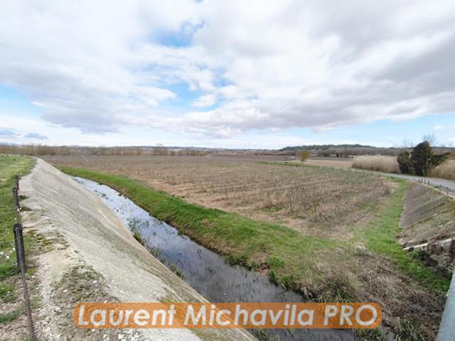 Vente Vignoble 270000 m2 Usclas d'Hérault