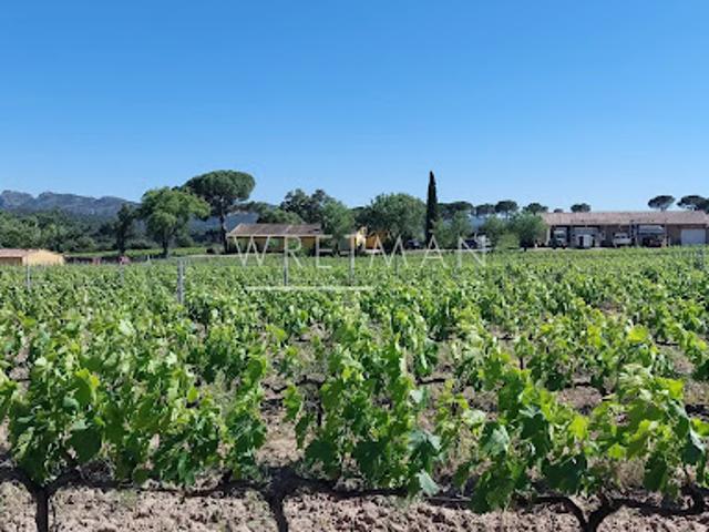 Vente Vignoble 285 m2 La Motte