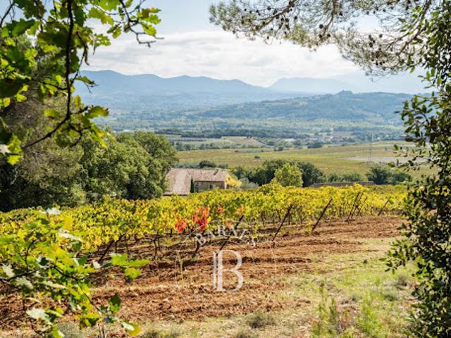 Vente Vignoble 310 m2 Vaison la Romaine