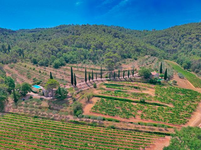 Vente Vignoble Var