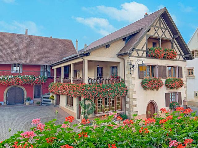 Vente Vignoble Haut Rhin