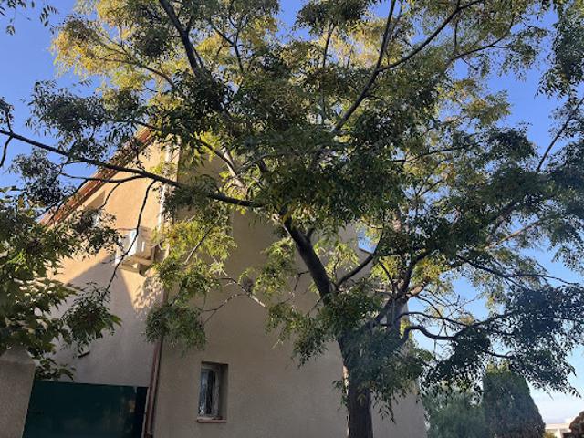 Vente Villa 4 pièces 77 m2 Saleilles