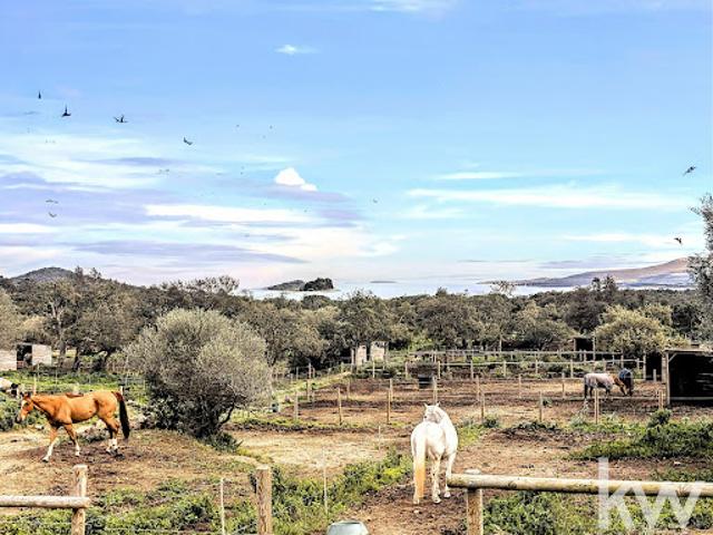 Vente Villa 4 pièces 740 m2 Sainte lucie de porto vecchio