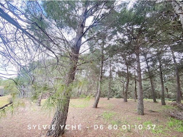 Vente Villa 4 pièces 115 m2 Narbonne
