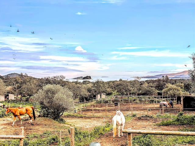 Vente Villa 4 pièces 146 m2 Lecci