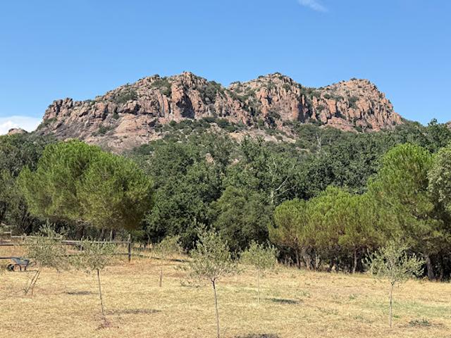 Vente Villa 4 pièces 150 m2 Roquebrune sur Argens