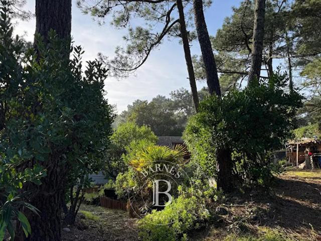 Vente Villa 5 pièces Lège Cap Ferret