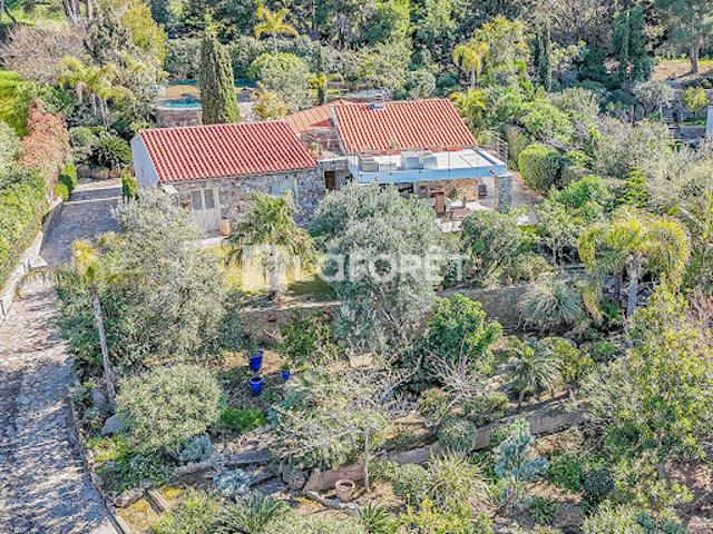 Vente Villa 6 pièces 136 m2 Corbara