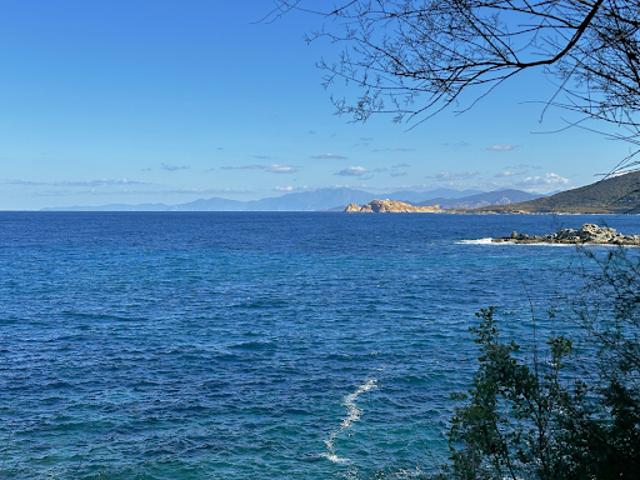 Vente Villa 6 pièces 250 m2 Corbara