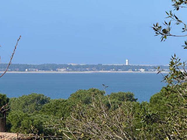 Vente Villa 7 pièces 190 m2 Pyla sur mer
