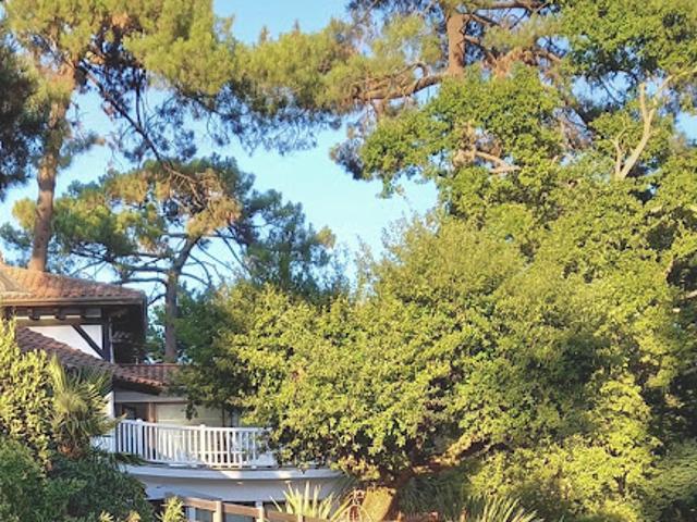 Vente Villa 7 pièces 238 m2 Hossegor