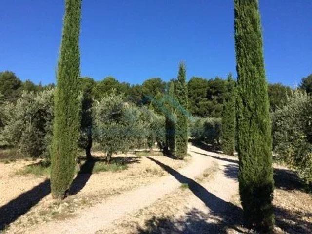 Vente Villa 8 pièces 180 m2 Mouriès