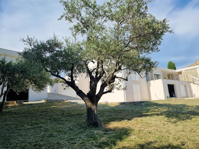 Vente Villa 8 pièces 260 m2 Manosque