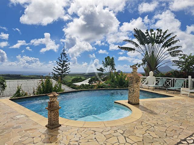 Vente Villa 8 pièces 320 m2 Riviere salee