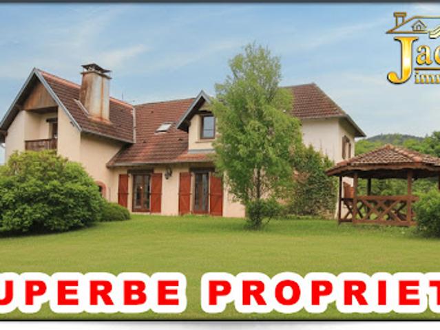Vente Villa 9 pièces 220 m2 Saint die des vosges