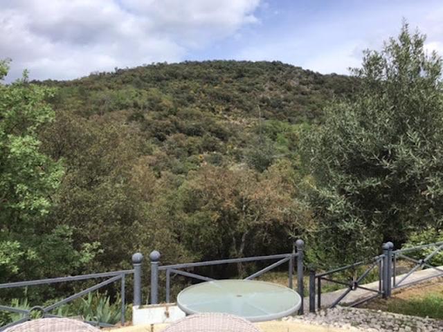 Vente Villa 11 pièces 296 m2 Collobrières