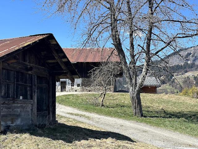 Vente Villa 15 pièces 723 m2 Praz sur Arly