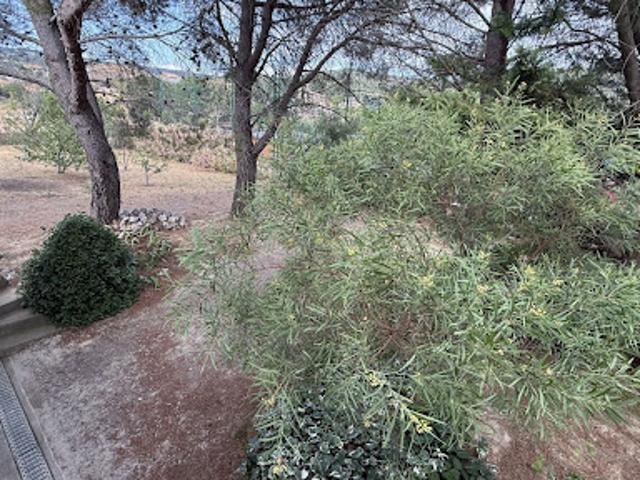 Vente Villa 3 pièces 74 m2 Félines Minervois