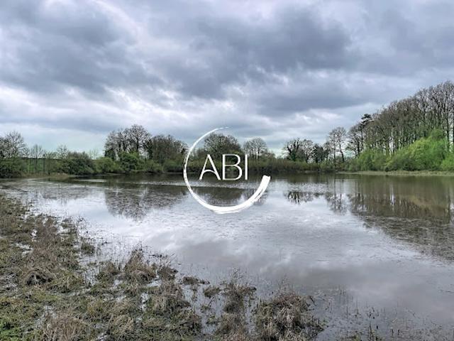Vente Agence Immobilière 71490 m2 Tessé Froulay