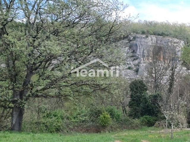 Vente Agence Immobilière 8817 m2 Berrias et Casteljau